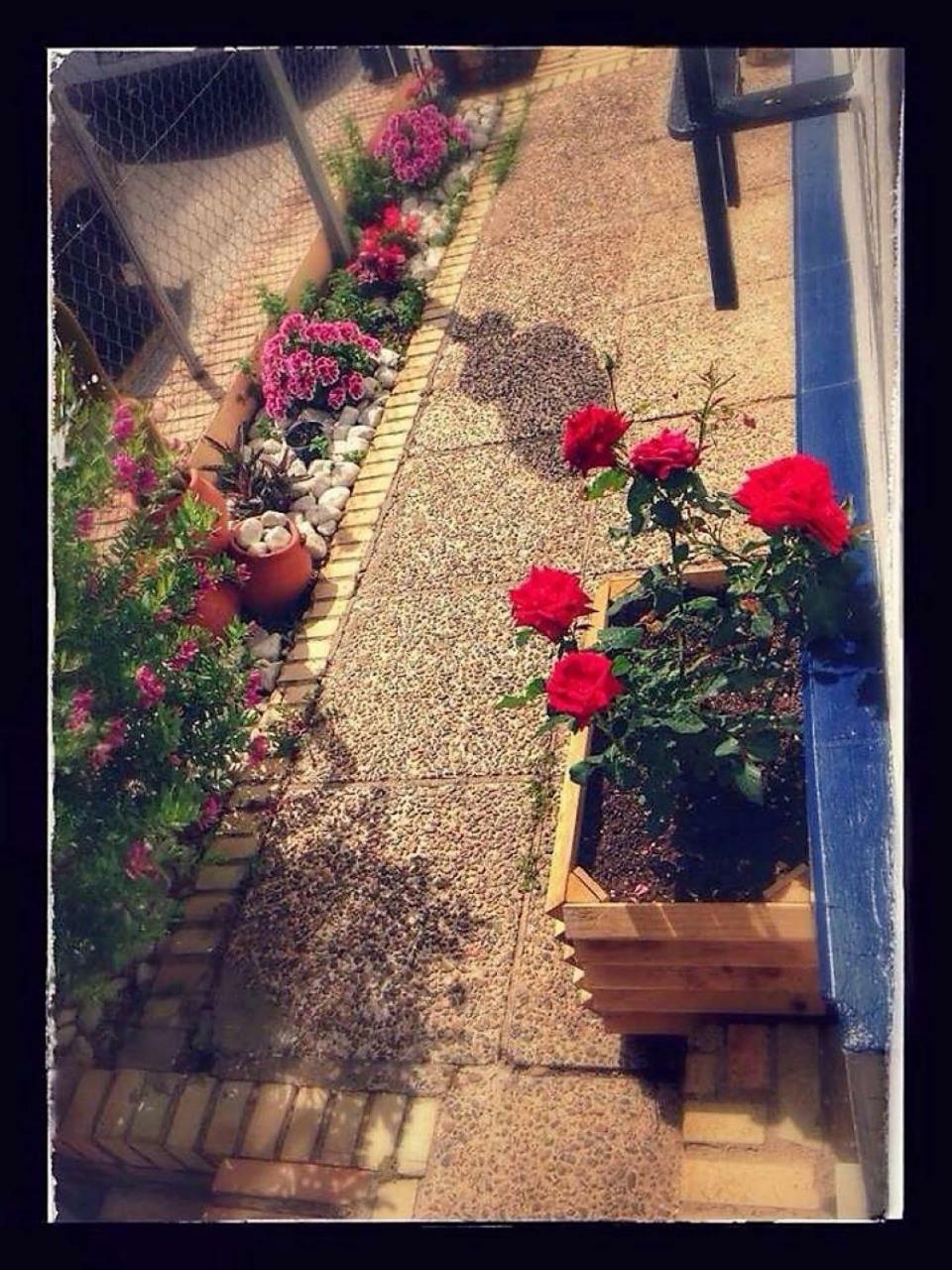 Hostal Puerto De Santa Maria Эль-Пуэрто-де-Санта-Мария Экстерьер фото